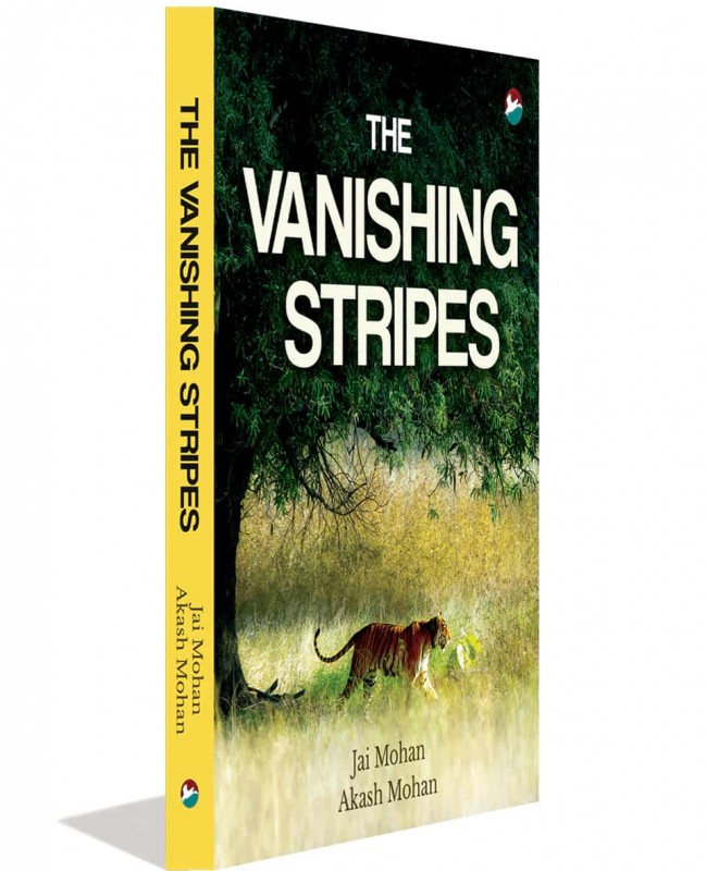 The Vanishing Stripes
