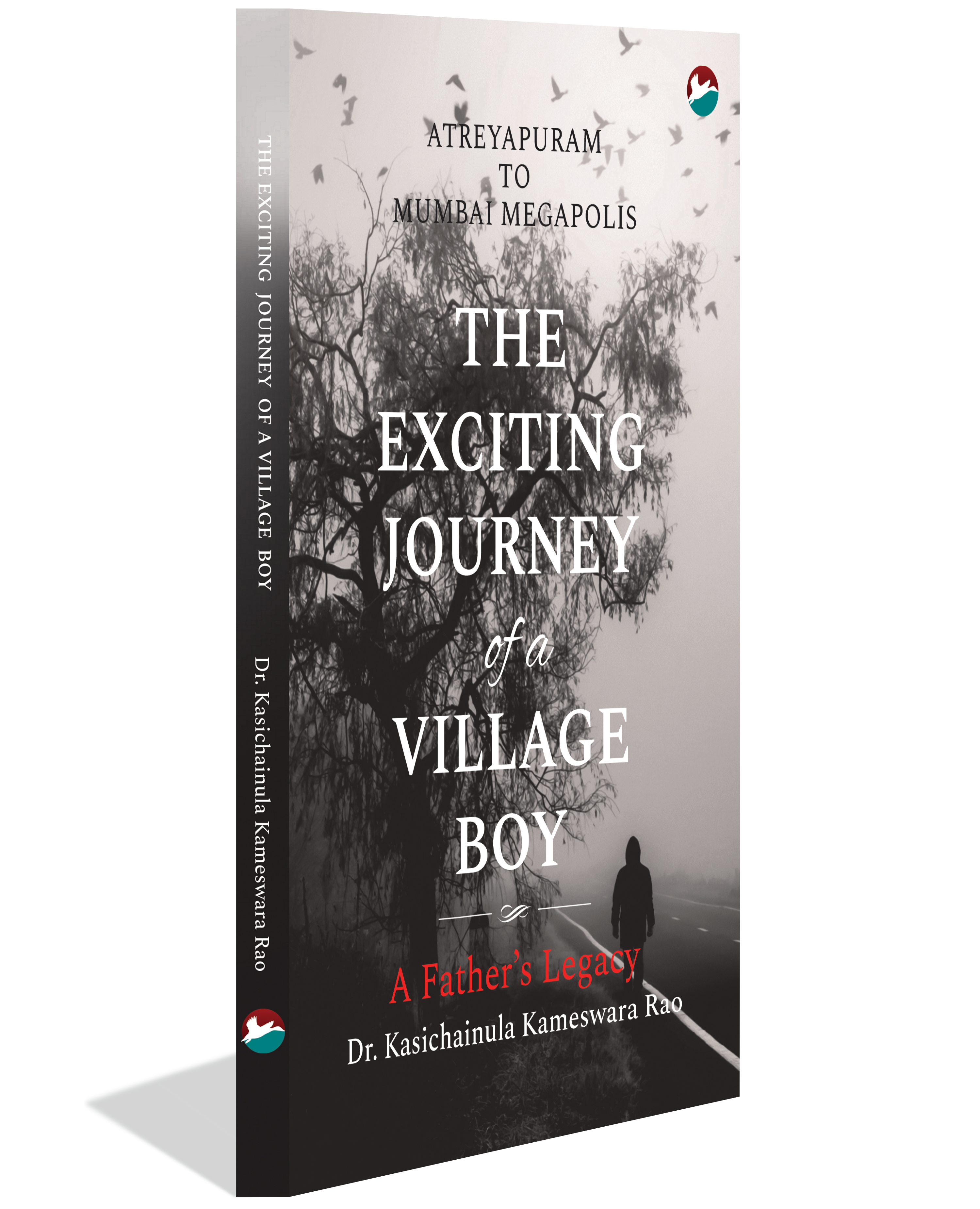 The Exciting Journey of a Village Boy
